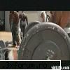 DMX - Ruff Ryders anthem [video] - DMX - Ruff Ryders anthem - MUZICA